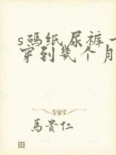 s码纸尿裤一般穿到几个月