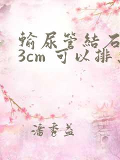 输尿管结石0.3cm 可以排出吗