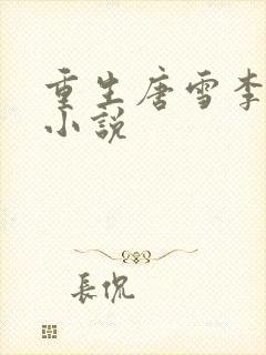 重生唐雪李毅的小说