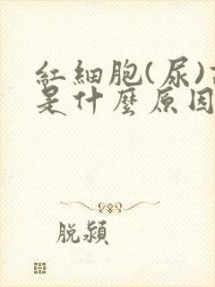 红细胞(尿)高是什么原因