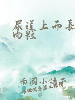 尿道上面长了小肉粒