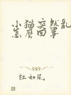 小猫突然乱尿是怎么回事