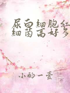 尿白细胞红细胞细菌高好多怎么回事