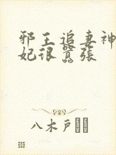 邪王追妻神医狂妃很嚣张