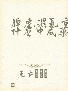 脾虚,湿气重吃什么中成药