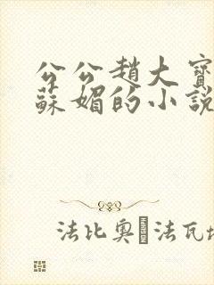 公公赵大宝儿媳苏媚的小说