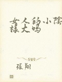 女人的小阴唇一样大吗