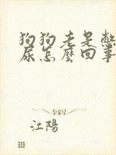 狗狗老是憋不住尿怎么回事