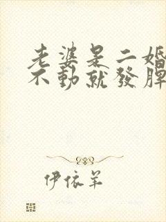 老婆是二婚的动不动就发脾气