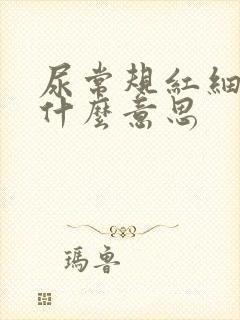 尿常规红细胞是什么意思