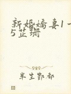 新婚娇妻1一25芷珊