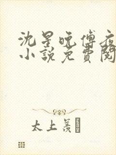 沈星晚傅夜霆的小说免费阅读