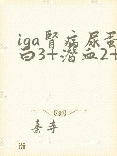 iga肾病尿蛋白3+潜血2+严重吗