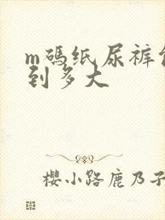 m码纸尿裤能穿到多大