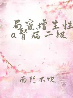 局灶增生性iga肾病二级