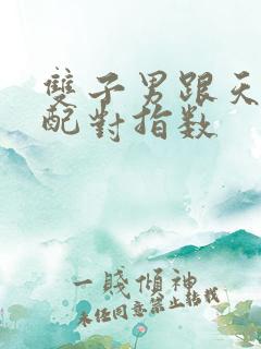 双子男跟天秤女配对指数