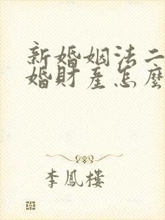 新婚姻法二婚离婚财产怎么分割