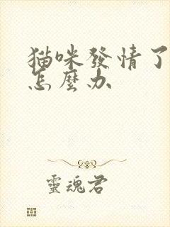 猫咪发情了乱尿怎么办