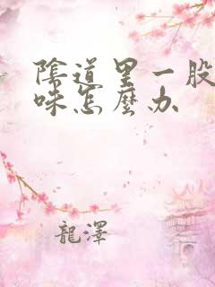 阴道里一股腥臭味怎么办