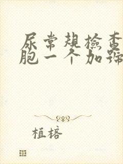 尿常规检查白细胞一个加号严重吗