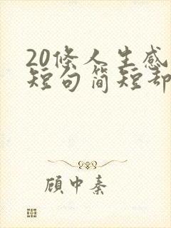 20条人生感悟短句简短却句句精辟