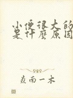 小便很大的骚味是什么原因