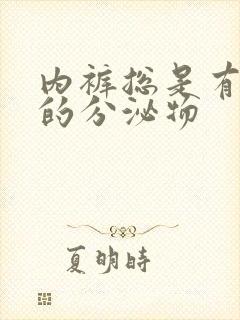 内裤总是有黄色的分泌物