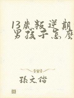 13岁叛逆期的男孩子怎么去引导