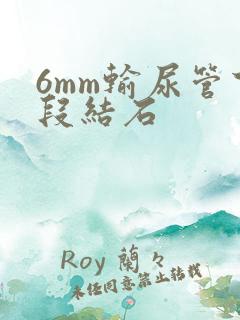 6mm输尿管下段结石