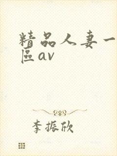 精品人妻一区二区av