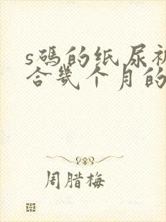 s码的纸尿裤适合几个月的宝宝