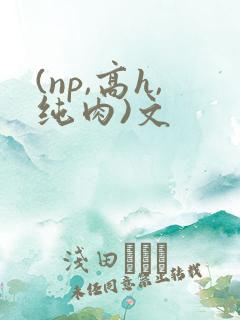 (np,高h,纯肉)文