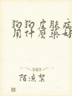 狗狗皮肤病口服用什么药好