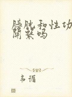 膀胱和性功能有关系吗