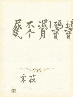 尿不湿l码适合几个月宝宝