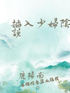 插入少妇阴道小说