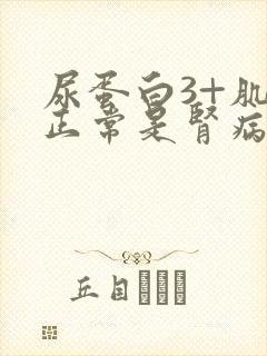 尿蛋白3+肌酐正常是肾病几期