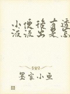 小便后有透明粘液流出是怎么回事