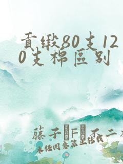 贡缎80支120支棉区别