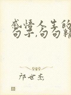 感悟人生的哲理句子,句句精辟