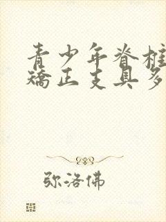 青少年脊椎侧弯矫正支具多少钱