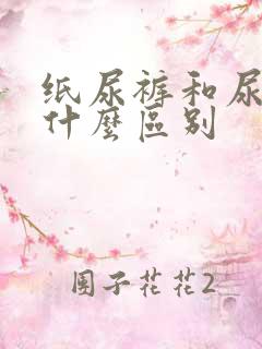 纸尿裤和尿不湿什么区别