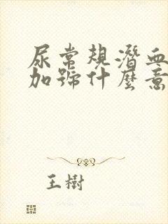 尿常规潜血1个加号什么意思