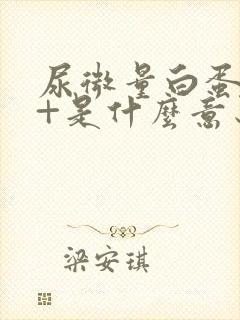 尿微量白蛋白1+是什么意思