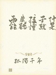 两岁孩子什么都能听懂就是不说话