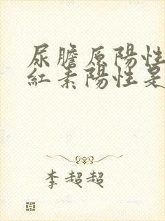 尿胆原阳性尿胆红素阳性是什么意思