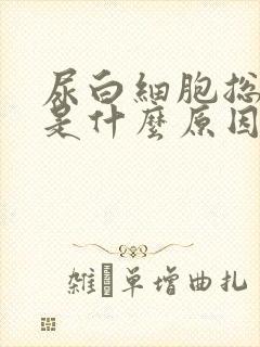 尿白细胞总数高是什么原因