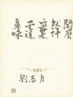 鼻子突然闻不到味道是什么原因