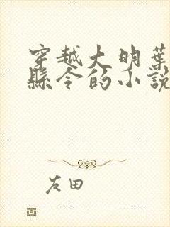 穿越大明叶青当县令的小说