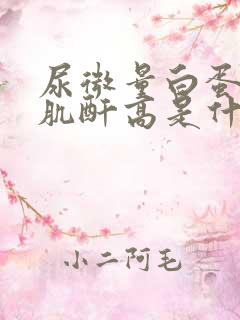 尿微量白蛋白比肌酐高是什么意思